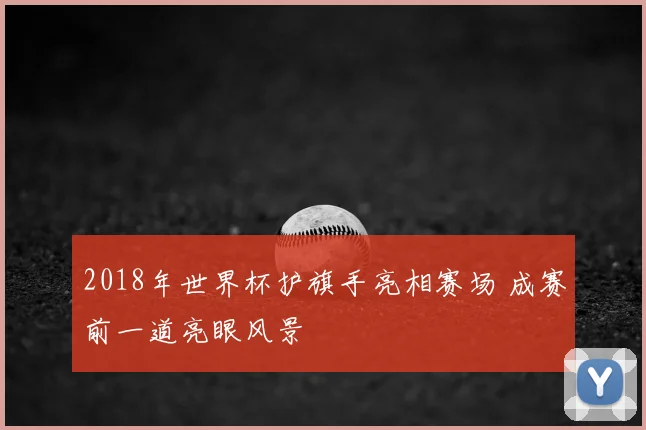 2018年世界杯护旗手亮相赛场 成赛前一道亮眼风景