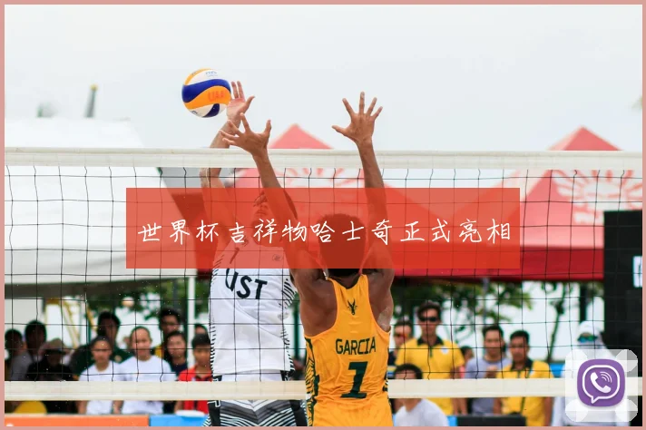世界杯吉祥物哈士奇正式亮相