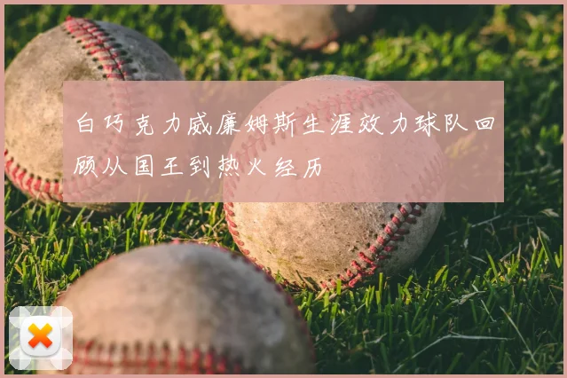 白巧克力威廉姆斯生涯效力球队回顾从国王到热火经历