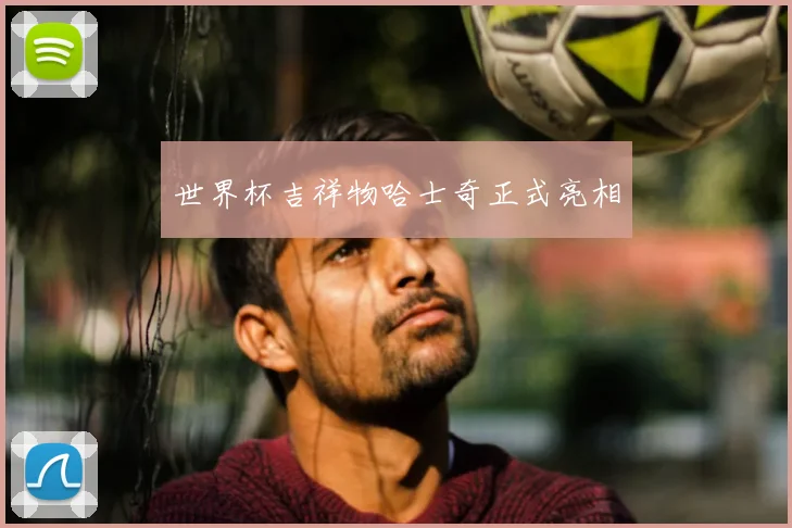 世界杯吉祥物哈士奇正式亮相