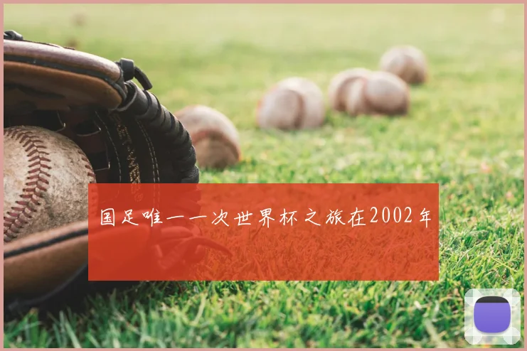 国足唯一一次世界杯之旅在2002年