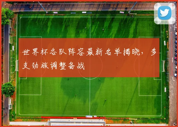 世界杯各队阵容最新名单揭晓,多支劲旅调整备战