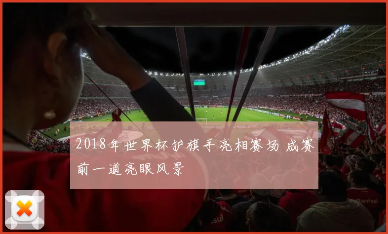 2018年世界杯护旗手亮相赛场 成赛前一道亮眼风景