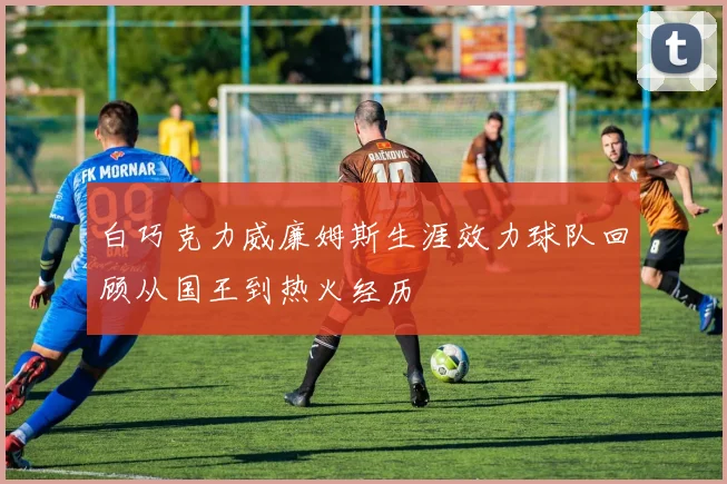 白巧克力威廉姆斯生涯效力球队回顾从国王到热火经历