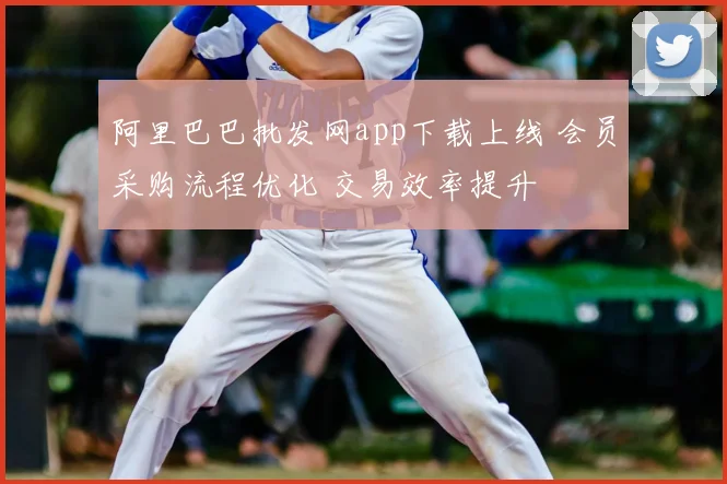 阿里巴巴批发网app下载上线 会员采购流程优化 交易效率提升